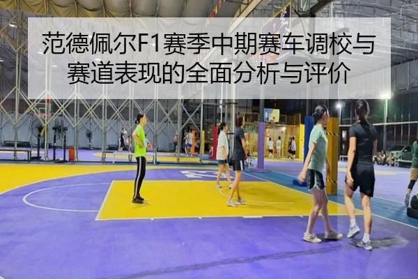 范德佩尔F1赛季中期赛车调校与赛道表现的全面分析与评价